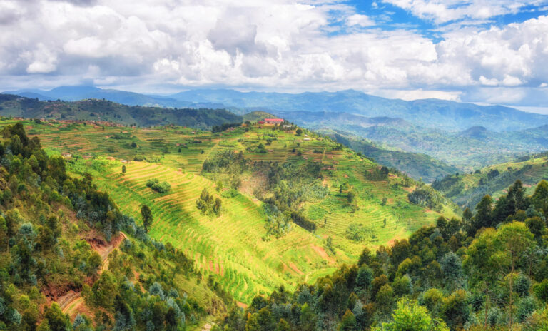 The Visions of Rwanda
